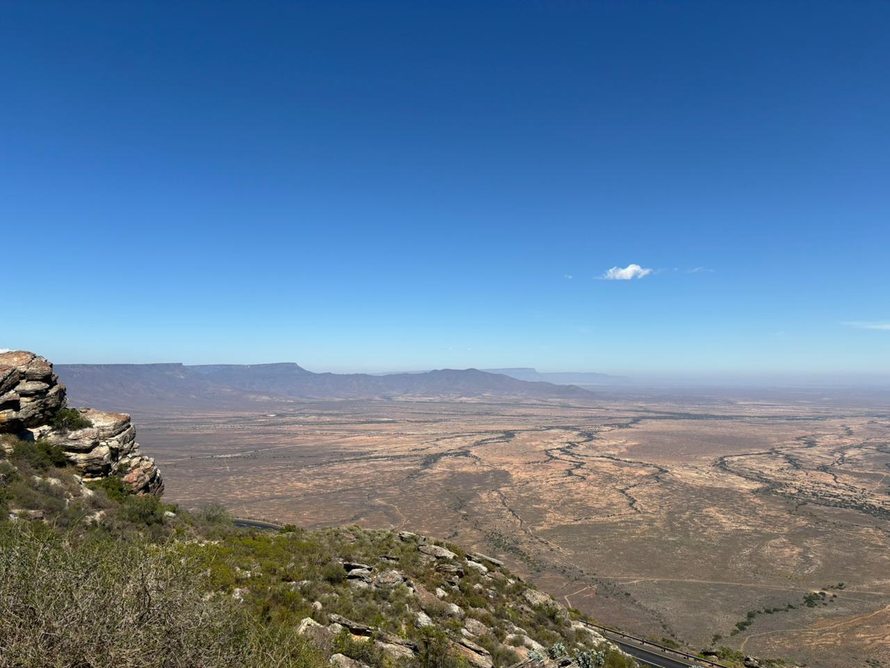 Invasive Prosopis vegetation in the Northern Cape, South Africa